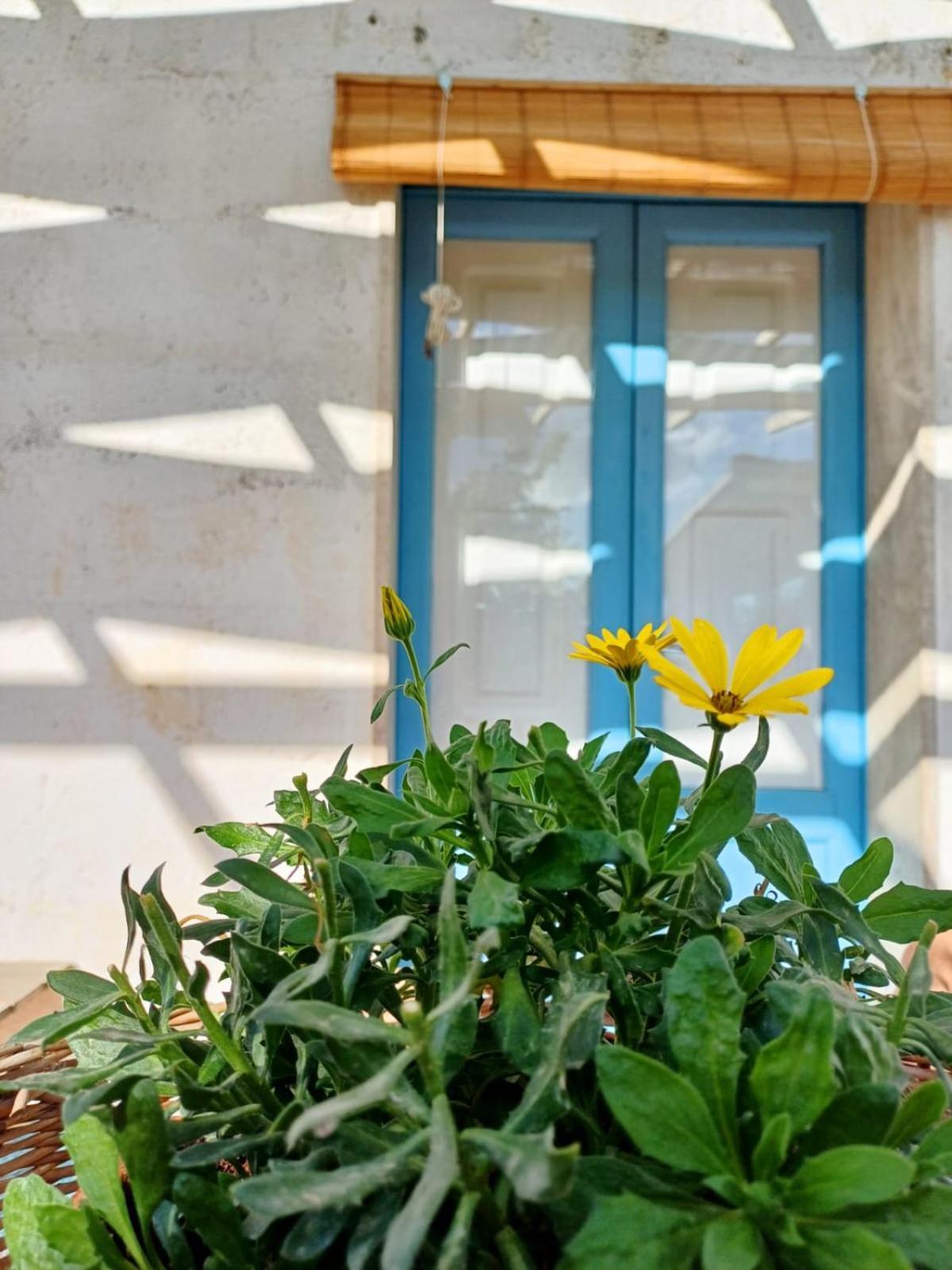 הוילה מנדוריה Casina La Tajata מראה חיצוני תמונה